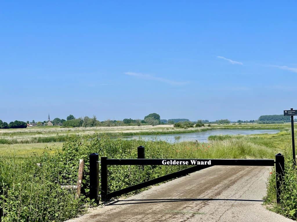 Natuurlijke omgeving op 't Gelders Eiland met water en groen.