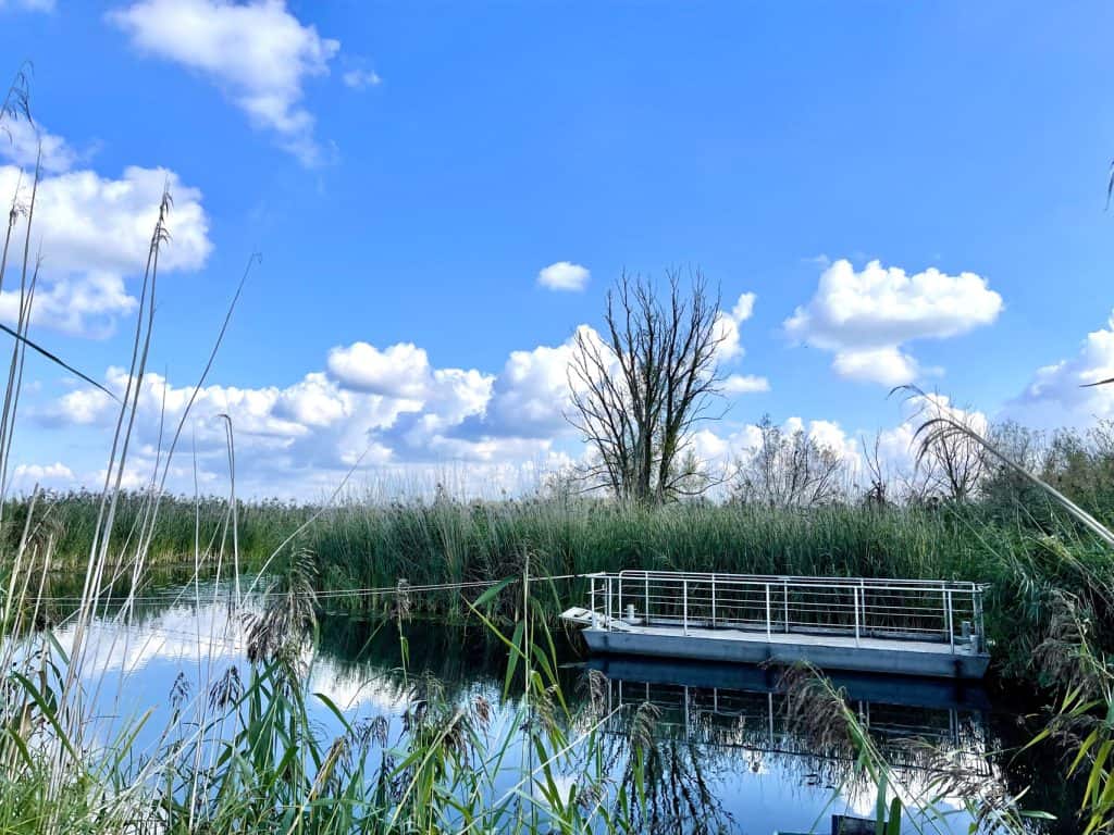 Natuur en water op 't Gelders Eiland, met een bootje en groene rietvelden onder een blauwe hemel.