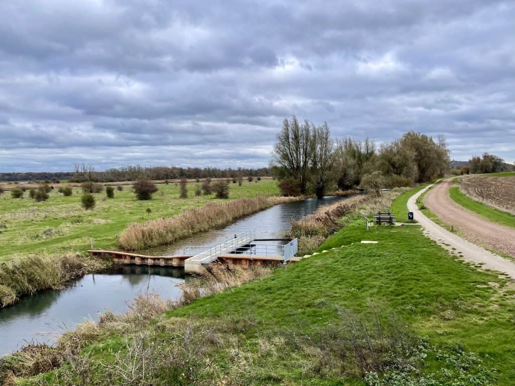 Rustige rivier met wandelpad en brug op 't Gelders Eiland, landelijke omgeving.
