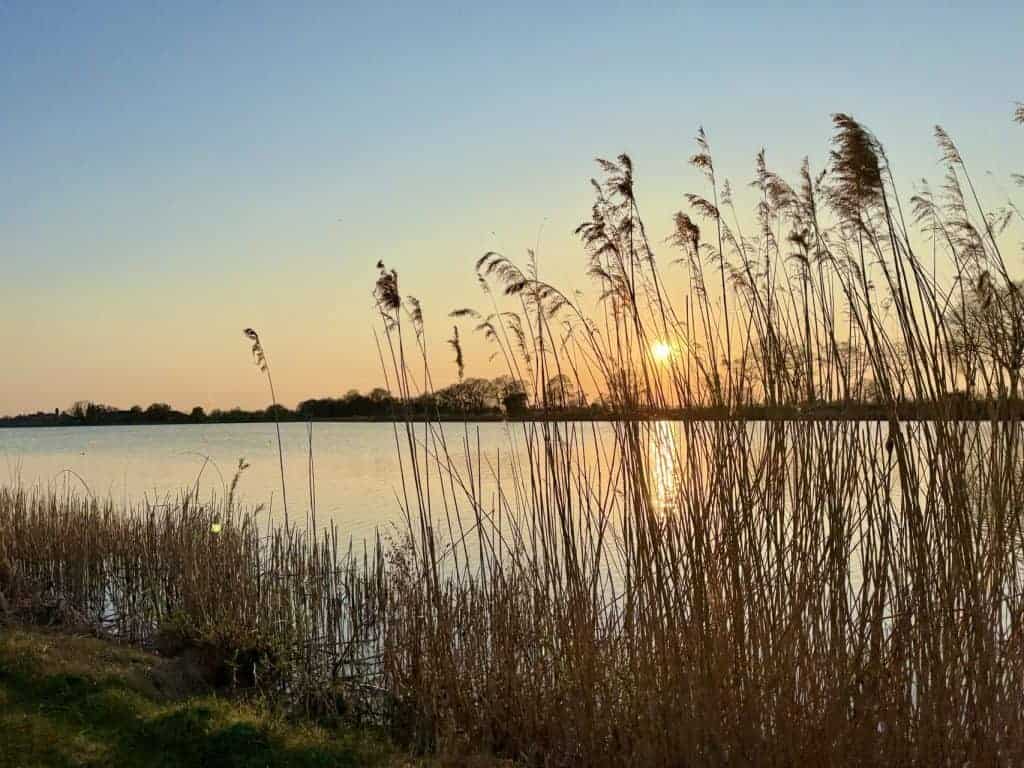 Zonsondergang over rivier met riet langs 't Gelders Eiland, natuur en rust.