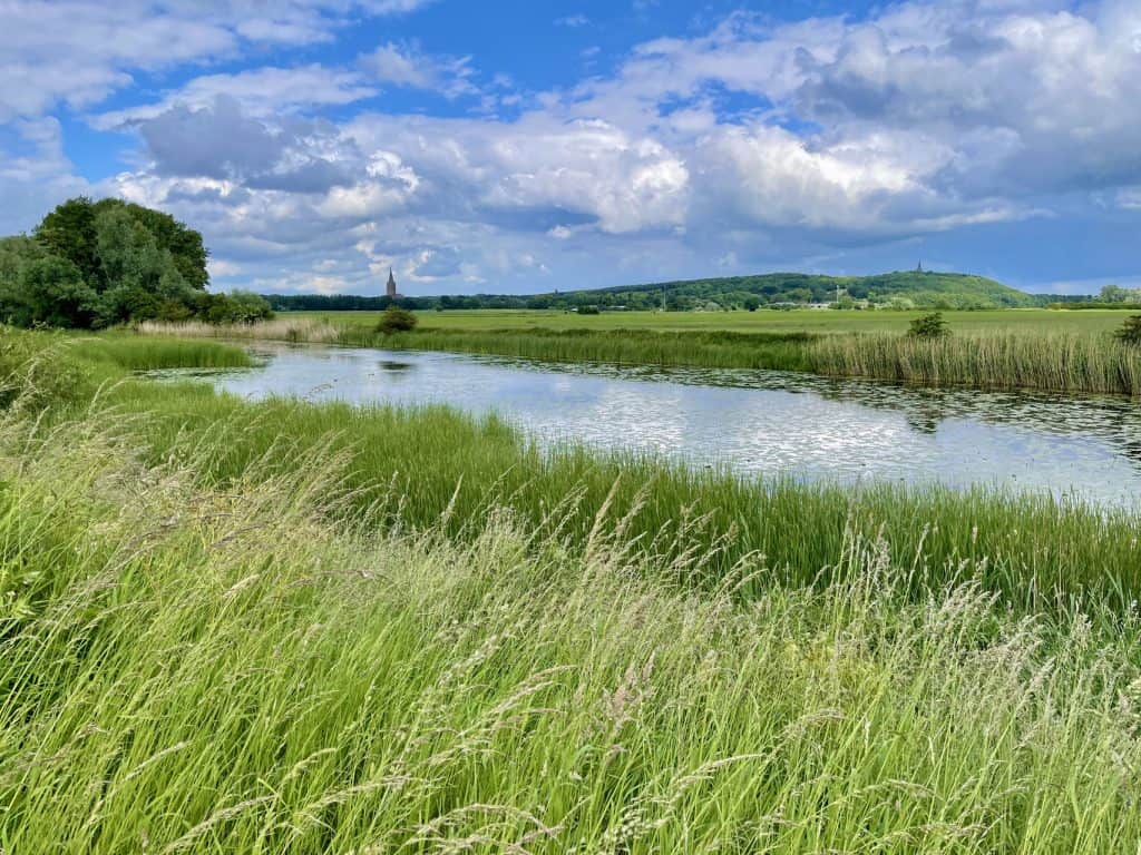 Gelders Eiland landschap met rivier, groene velden en wolkenlucht.
