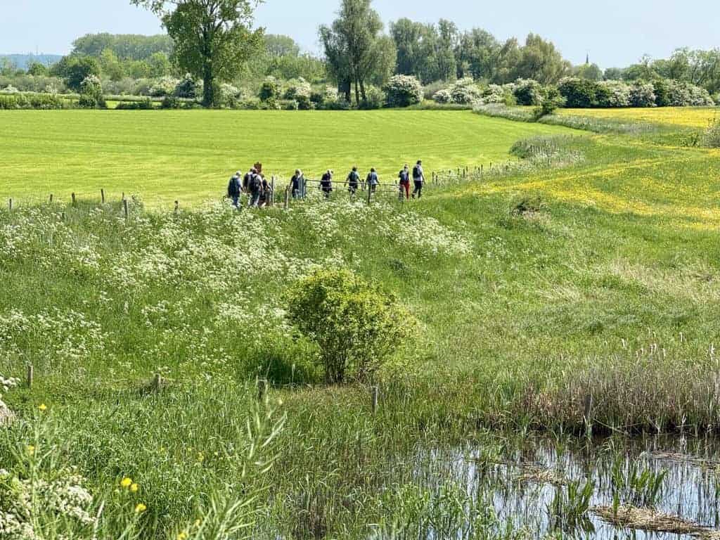 Prachtige natuur en wandelroutes op 't Gelders Eiland, met groene velden, waterpartijen en een groep.