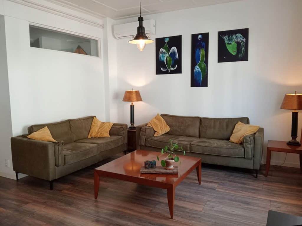 Gezellige woonkamer met twee bruine banken en kunst aan de muur.