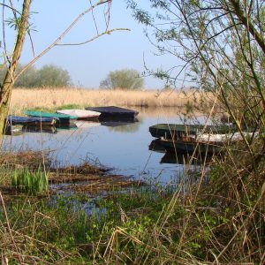 voorjaarswandeling Aerdt