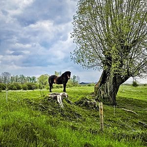 Struintocht groene rivier