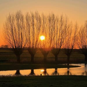 Zonsondergang op 't Gelders Eiland