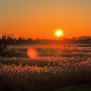 Zonsondergang op 't Gelders Eiland