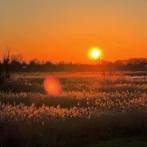 Zonsondergang op 't Gelders Eiland