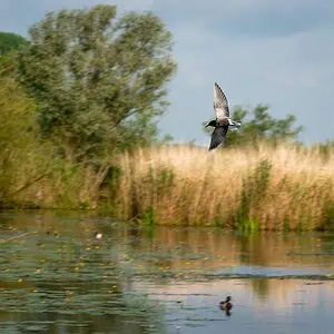 winterwandeling Kleine Gelderse Waard