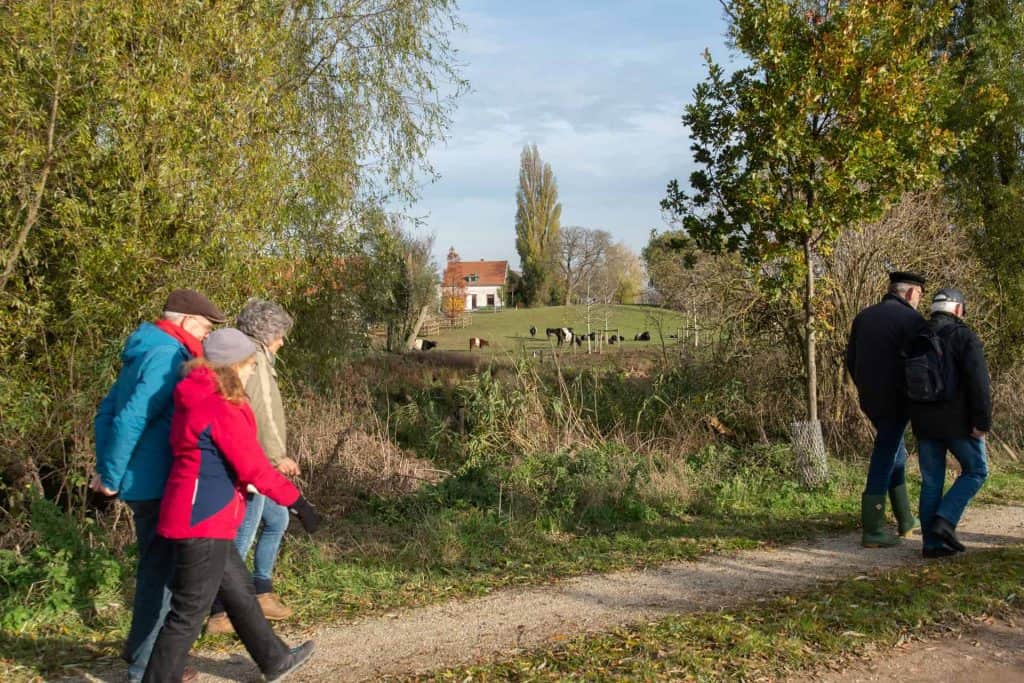 Wandelaars op 't Gelders Eiland genieten van de natuur en het landschap.