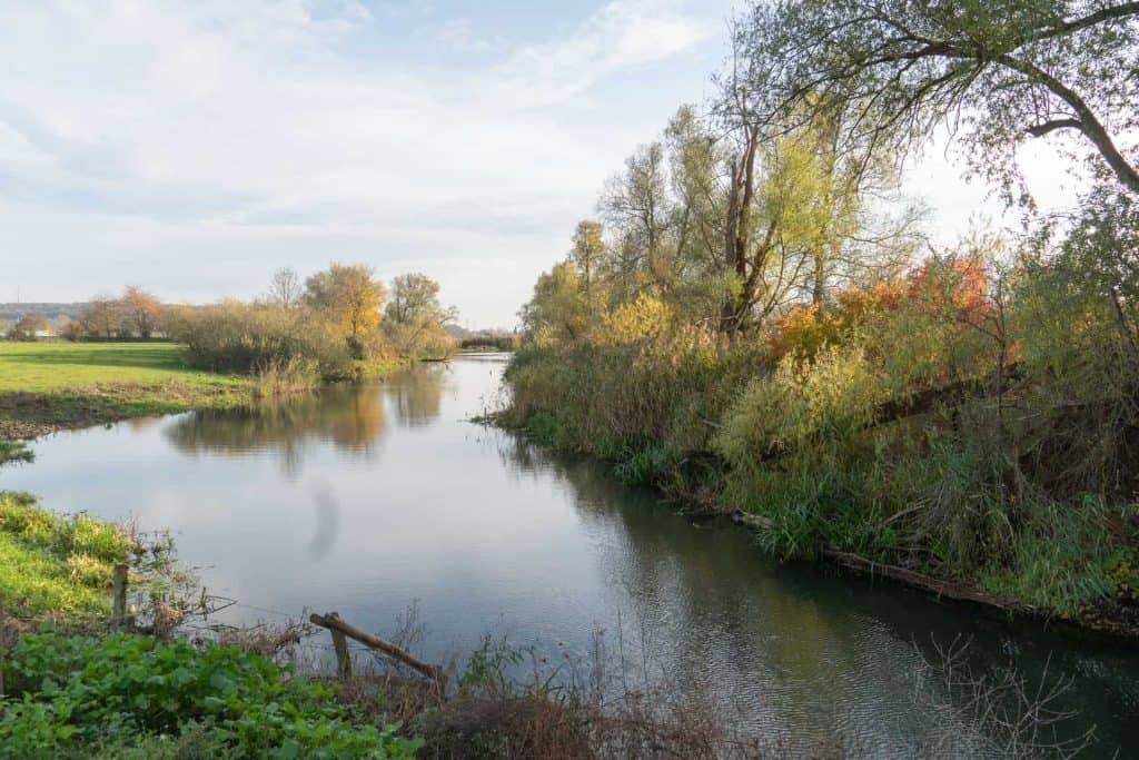 Zicht op rivier met herfstkleuren langs 't Gelders Eiland, omgeven door bomen en groene velden.
