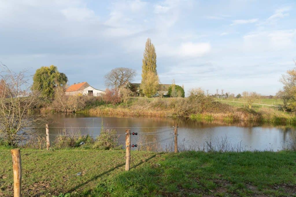 Gezicht op 't Gelders Eiland met water, bomen en landelijke omgeving in de herfst.