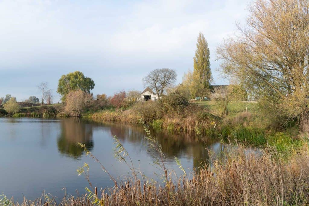 Rustige rivier met herfstbomen en landelijke huizen op ’t Gelders Eiland.