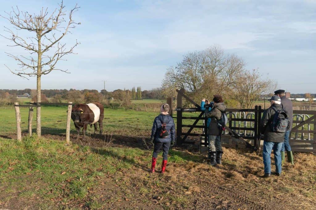 Gezelschap wandelaars bij de toegang tot een weiland op 't Gelders Eiland, met een paard en open lan.