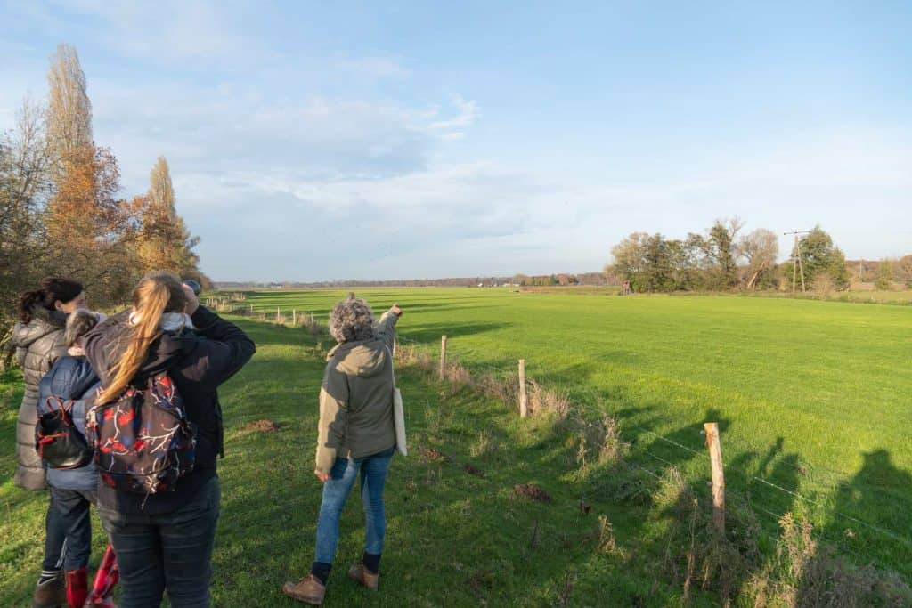 Gezelschap wandelaars op 't Gelders Eiland genieten van het landschap en de natuur.