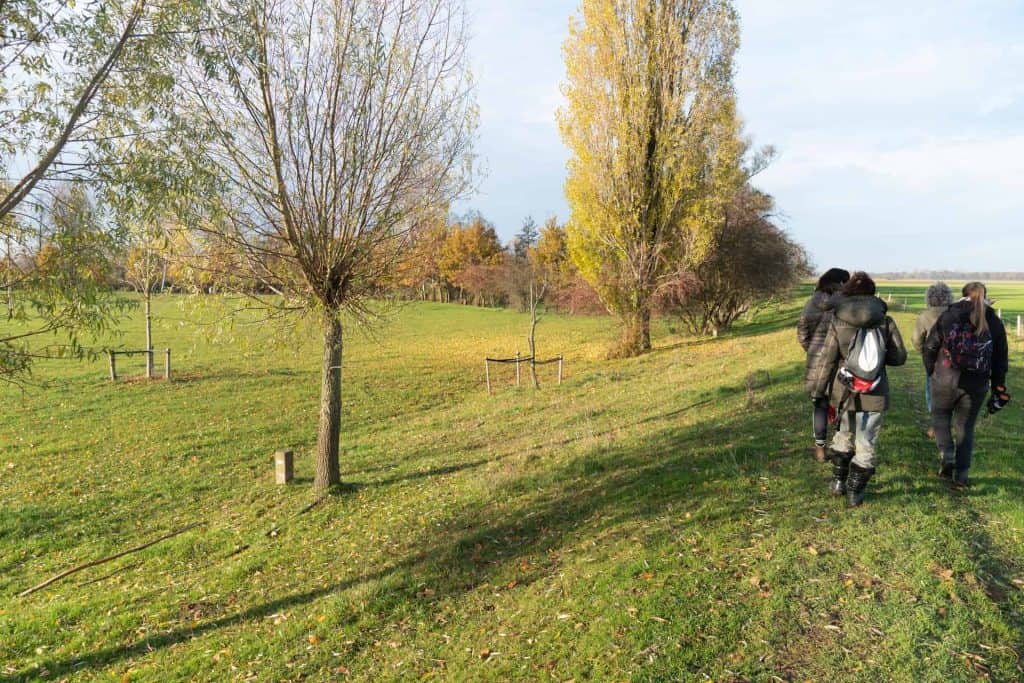 Rustige wandelroute op 't Gelders Eiland met herfstkleuren en wandelaars in de natuur.