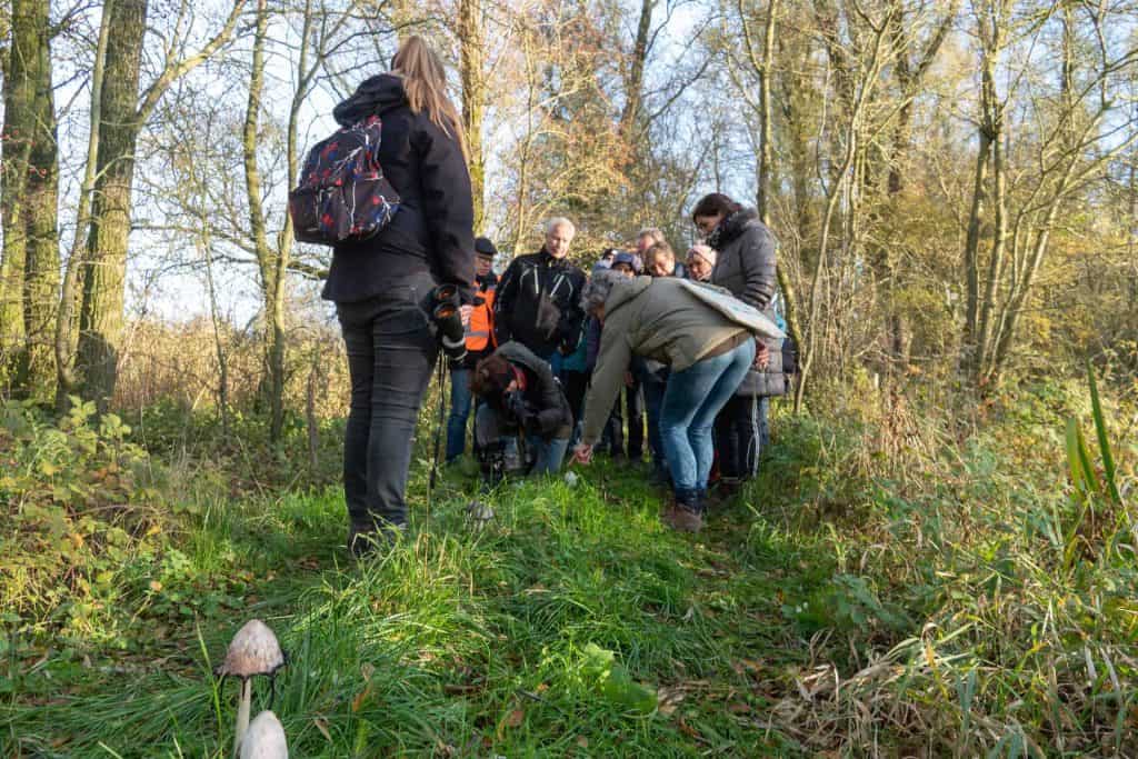 Ontdekkingstocht op 't Gelders Eiland met groep wandelaars in de natuur.