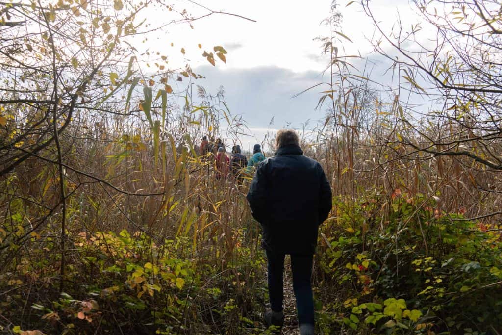 Natuurlijke wandeling op 't Gelders Eiland met groep mensen in de herfst.