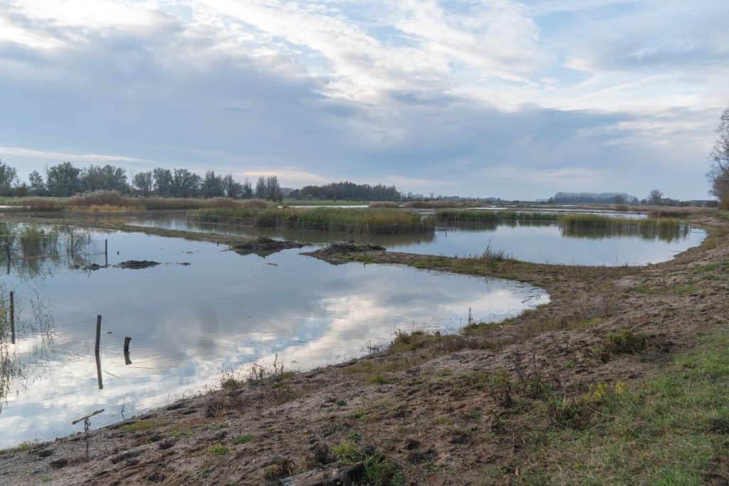 Zandstrand langs het water op ’t Gelders Eiland met natuurlijke omgeving en reflecties in het wate.