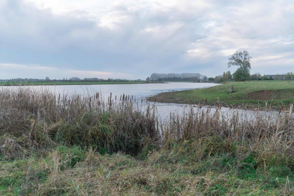 Rustige rivier en natuur op 't Gelders Eiland in Nederland.