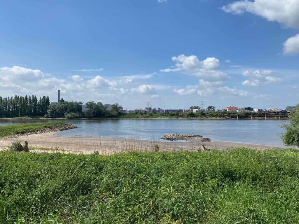 Gezicht op de rivier op 't Gelders Eiland met groene oevers en blauwe lucht.