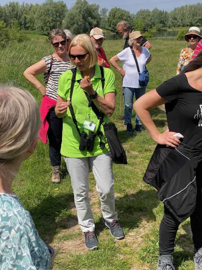 Natuurgidsen en wandelaars op 't Gelders Eiland genieten van de natuur en het landschap.