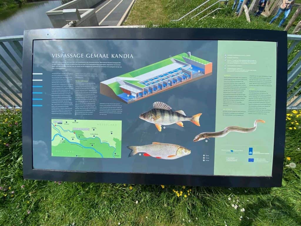 Vispassage Kandia informatiesbord met vissoorten en vispassage uitleg op 't Gelders Eiland.
