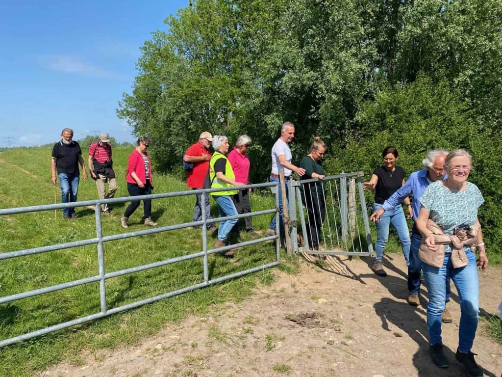 Hekwerk en groep wandelaars op 't Gelders Eiland in de natuur.