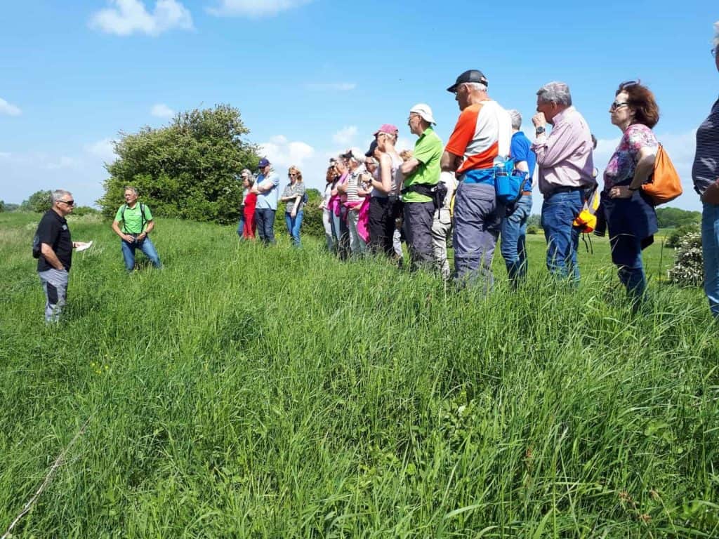 Natuurgids geeft uitleg aan groep wandelaars op 't Gelders Eiland over de omgeving.