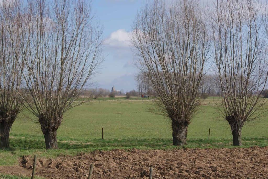 Gezicht op 't Gelders Eiland met bomen en uitgestrekte weilanden in de lente.