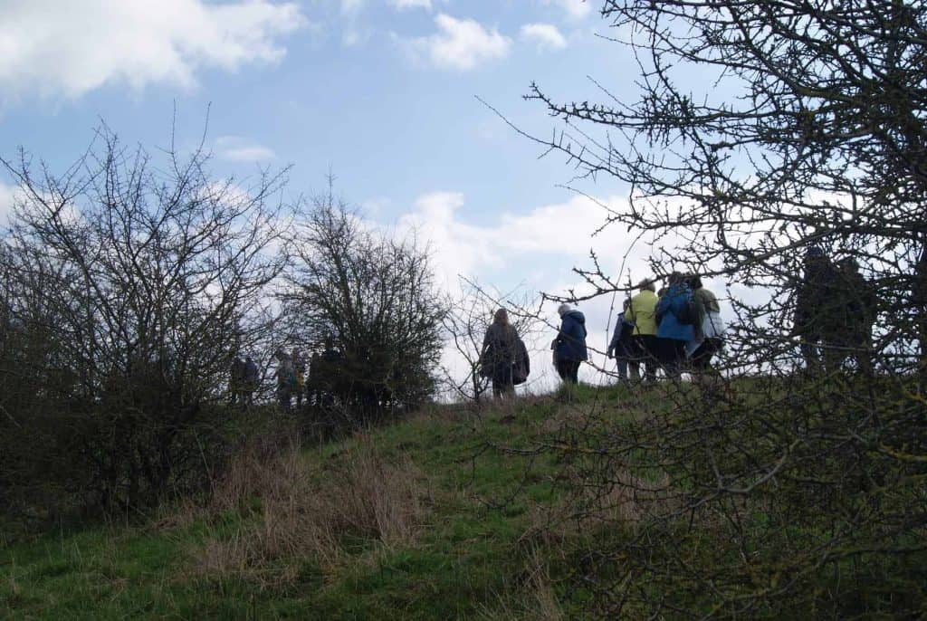 Gezelschap wandelaars op 't Gelders Eiland genieten van de natuur en het landschap.