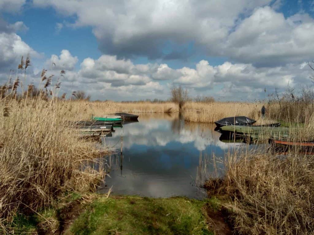 Zomerse bootjes aan de waterkant op 't Gelders Eiland, met riet en een heldere hemel met wolken.