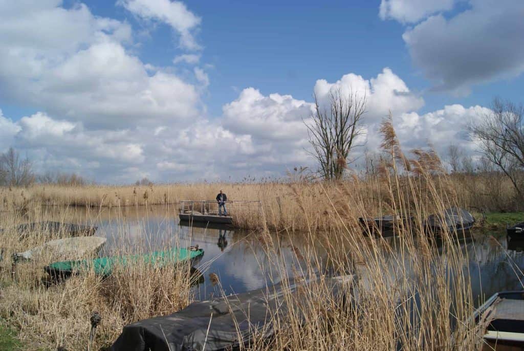 Rustige waterkant op 't Gelders Eiland met boten en rietvelden onder een bewolkte hemel.