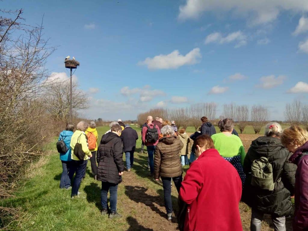 Gezellige groep wandelaars op 't Gelders Eiland genieten van de natuur en het mooie weer.