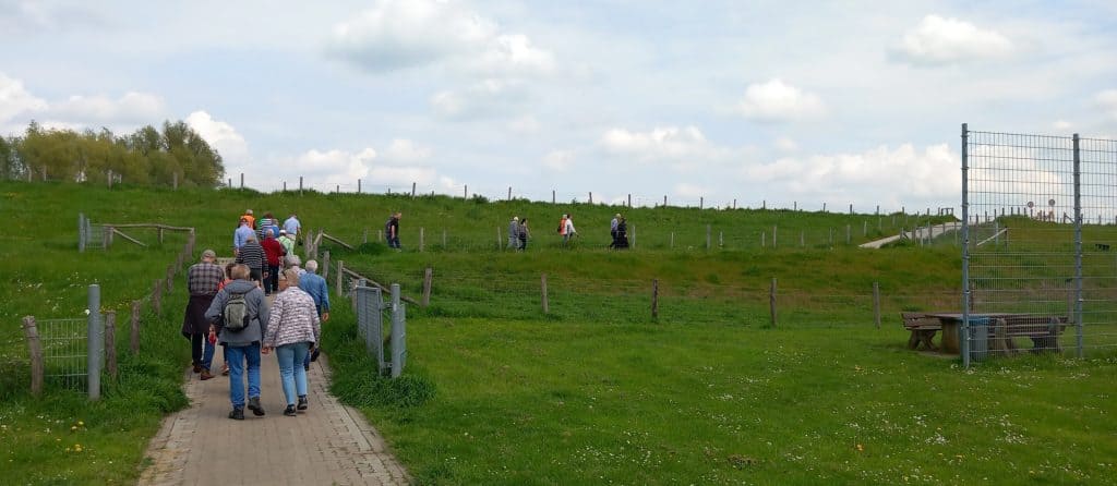 Zomerse wandeling op 't Gelders Eiland met bezoekers en groene weilanden.