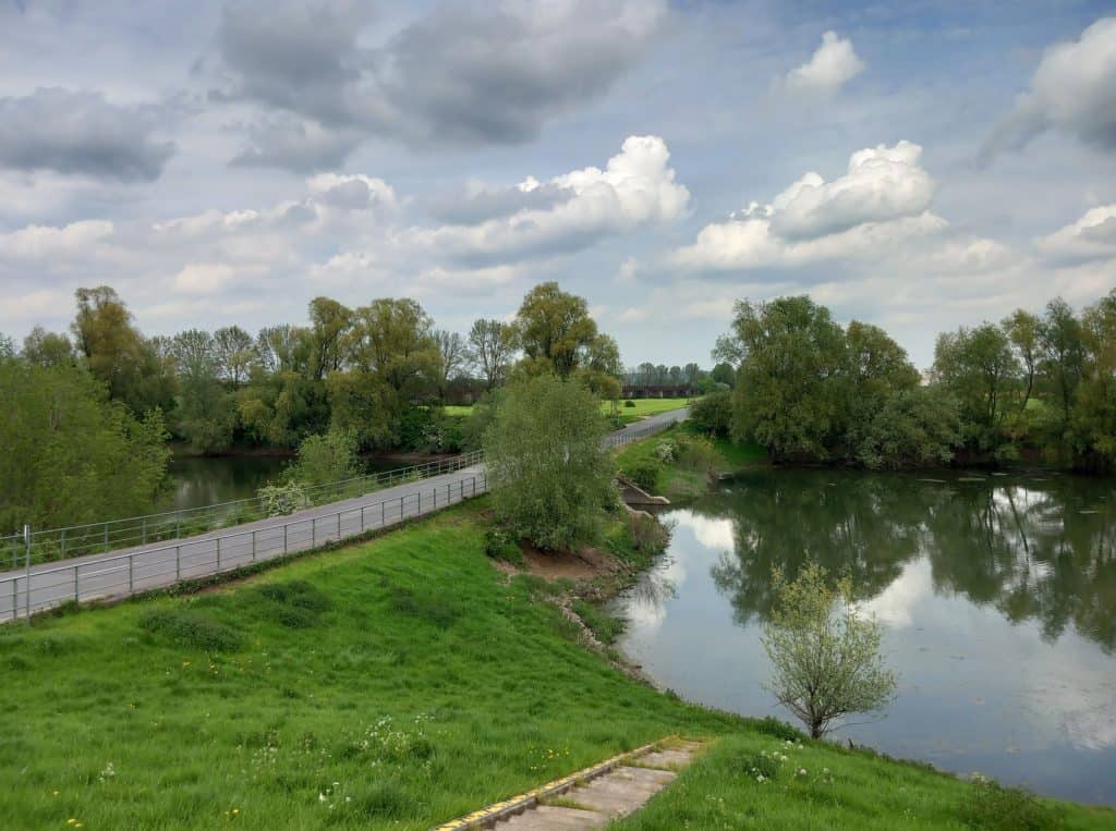 Zicht op de rivier en groene natuur op 't Gelders Eiland, met wandelpad en bomen onder een bewolkte.