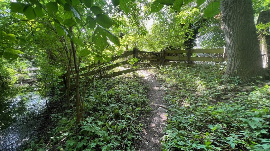 Zomerse boswandeling op 't Gelders Eiland met houten brug en groene begroeiing.