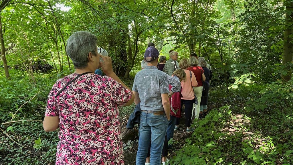 Gezelschap wandelt door bos op 't Gelders Eiland, genietend van natuur en rust.