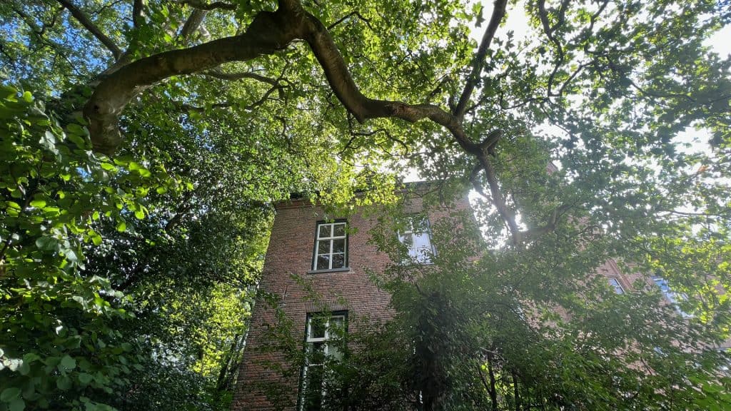 Zicht op een oude bakstenen gebouw omgeven door groene bomen en zonlicht.
