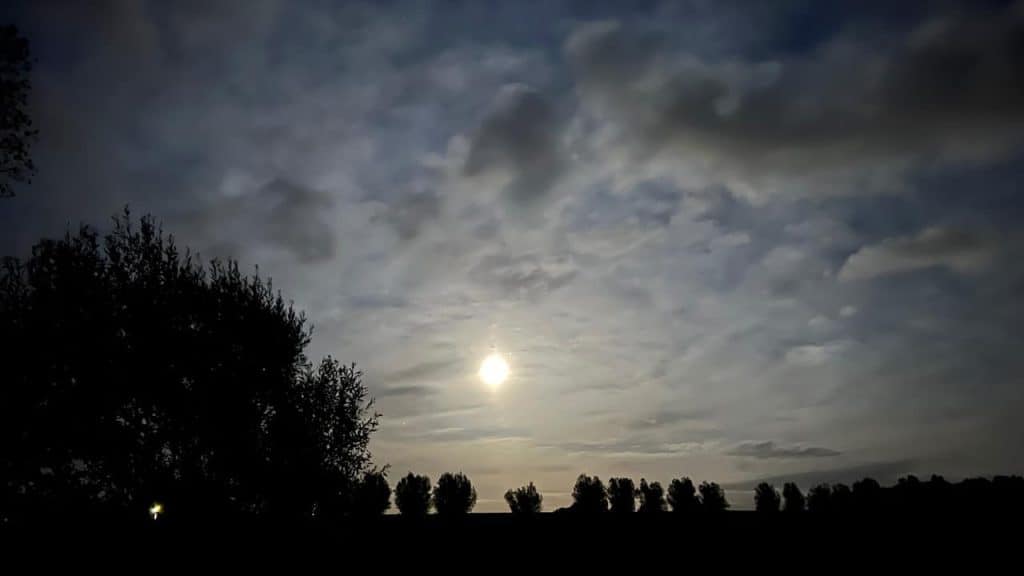 Zonsondergang boven 't Gelders Eiland met bewolkte hemel en silhouetten van bomen.