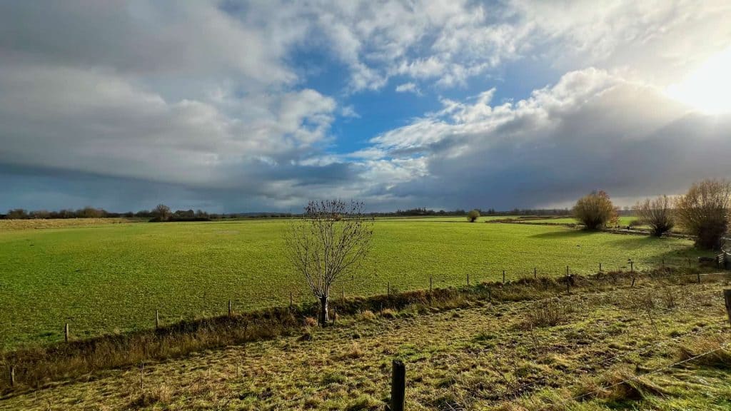 Weergave van uitgestrekt landschap op 't Gelders Eiland met groene velden en een heldere hemel.