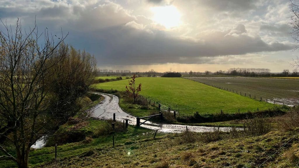 Rustieke rivier en groene weilanden op 't Gelders Eiland, met een heldere hemel en zachte zonnestral.