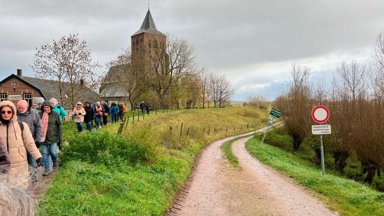 Honderden wandelaars op pad langs de rivier op ’t Gelders Eiland, met een historische kerk op de ach.