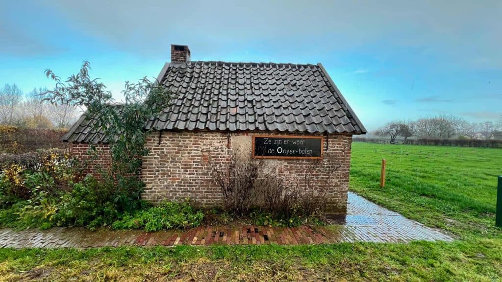 Oud boerderijtje op 't Gelders Eiland met groene omgeving en heldere lucht.