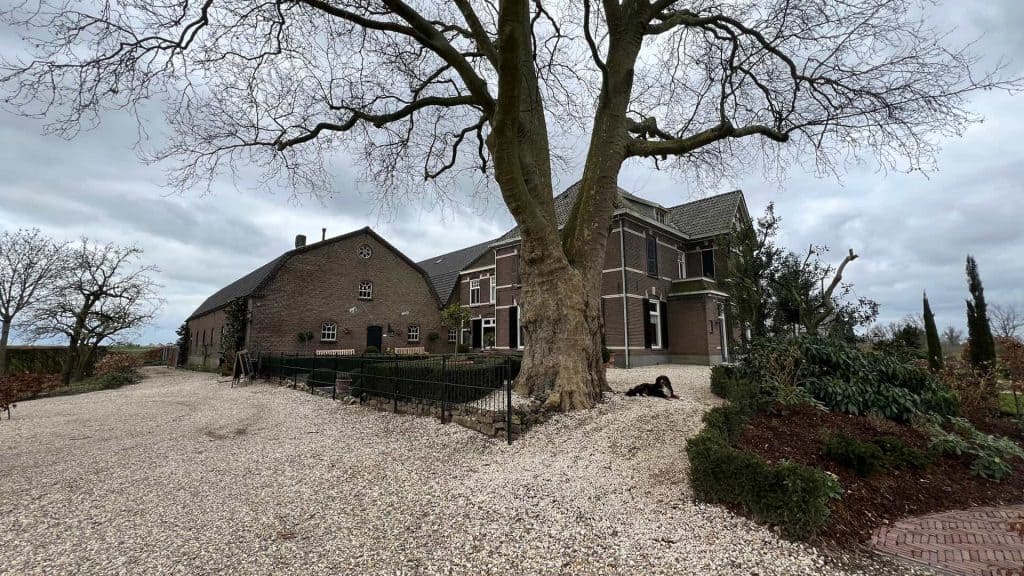 Huis op 't Gelders Eiland met grote boom en tuin, onder een bewolkte hemel.
