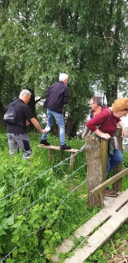 Hikers wandelen over een houten brug in een groen bos op 't Gelders Eiland.