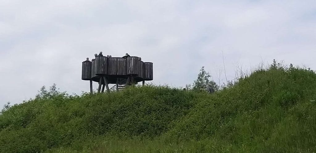 Houten uitkijktoren op 't Gelders Eiland met groen landschap.