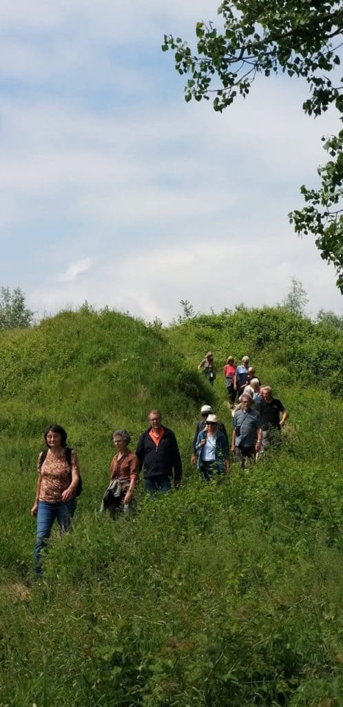 Gezelschap wandelaars op 't Gelders Eiland genieten van natuur en rust.