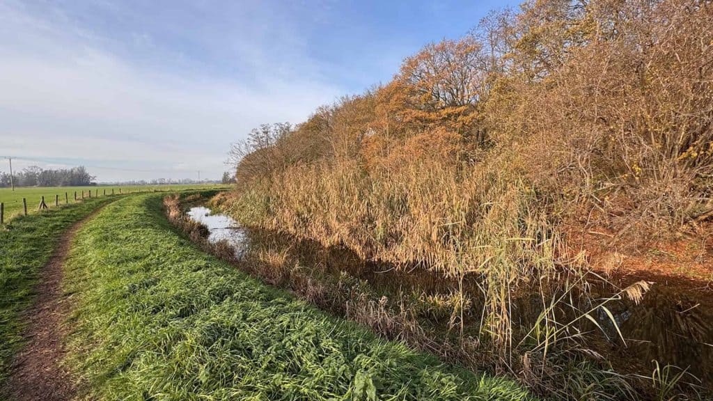 Een landelijke wandelroute langs een smal waterkanaal met bomen en struiken in de herfst.