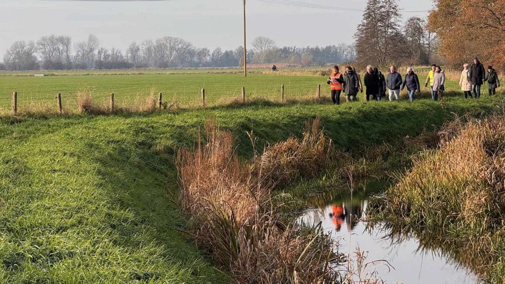 Zomerse wandeling langs de rivier op 't Gelders Eiland met groep wandelaars in de natuur.